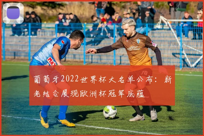 葡萄牙2022世界杯大名单公布:新老结合展现欧洲杯冠军底蕴