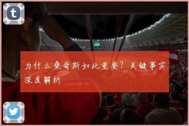 为什么桑奇斯如此重要？关键事实深度解析
