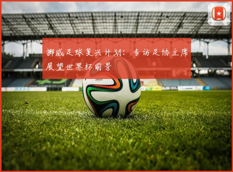 挪威足球复兴计划：专访足协主席展望世界杯前景