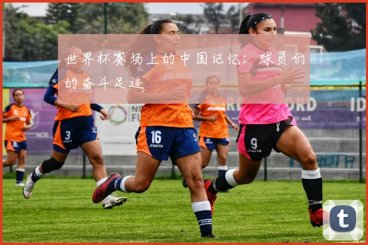世界杯赛场上的中国记忆：球员们的奋斗足迹