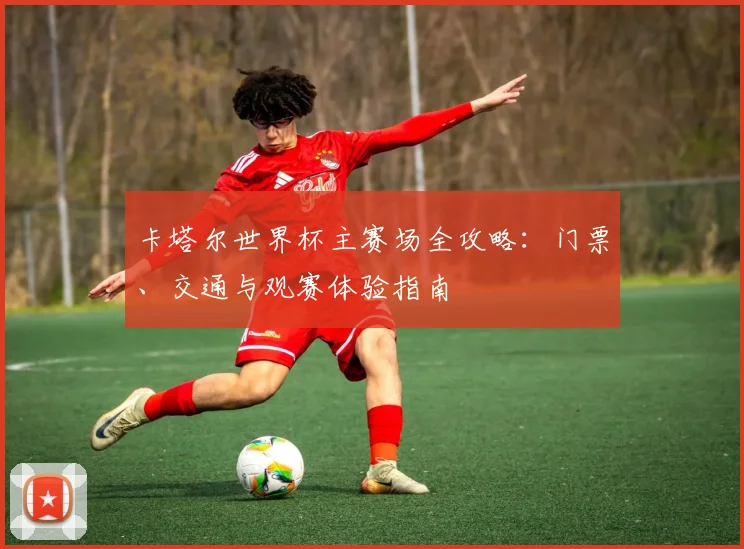 卡塔尔世界杯主赛场全攻略：门票、交通与观赛体验指南