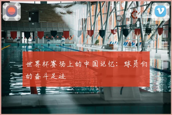 世界杯赛场上的中国记忆：球员们的奋斗足迹