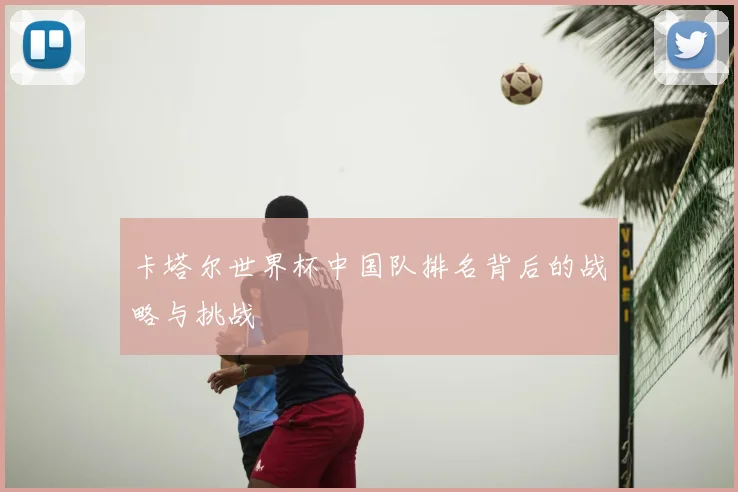 卡塔尔世界杯中国队排名背后的战略与挑战