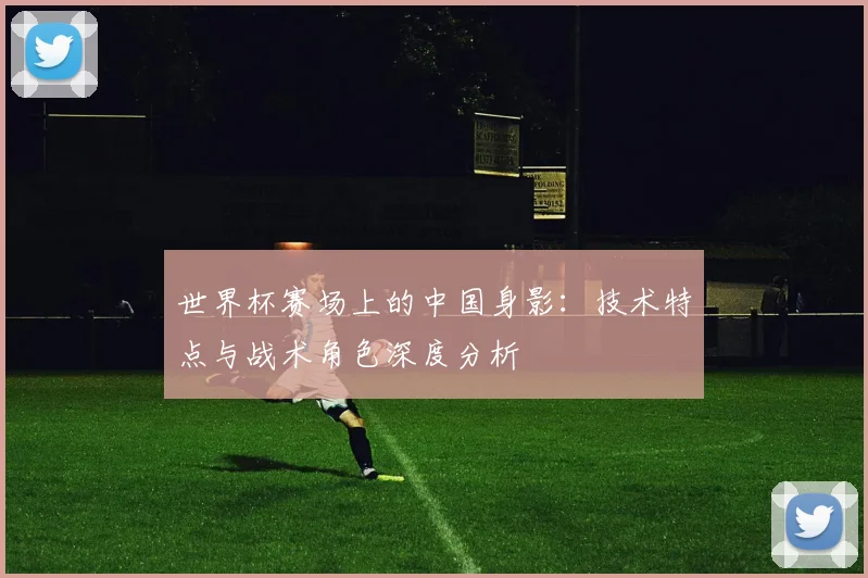 世界杯赛场上的中国身影：技术特点与战术角色深度分析