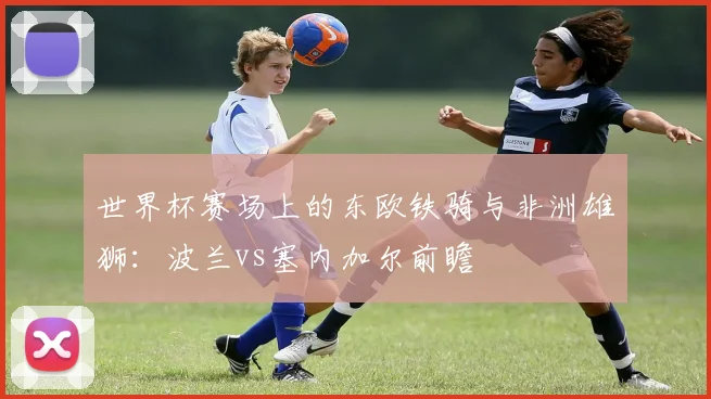 世界杯赛场上的东欧铁骑与非洲雄狮：波兰vs塞内加尔前瞻