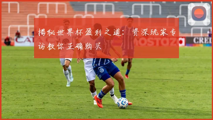 揭秘世界杯盈利之道：资深玩家专访教你正确购买