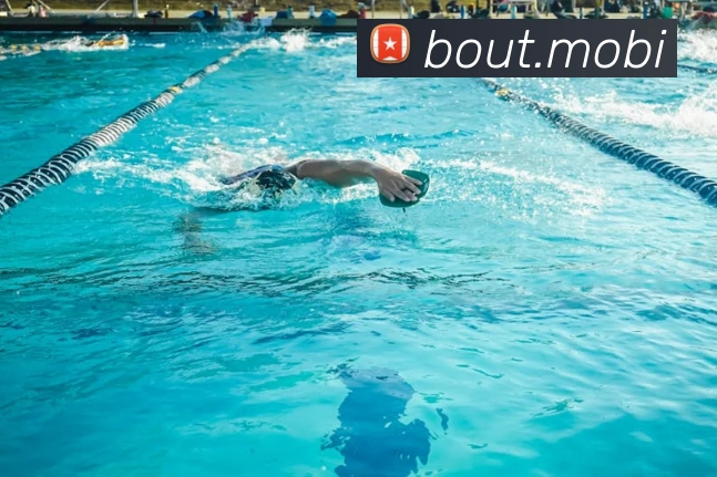 开云手机网页登录网页APP 高清赛事图